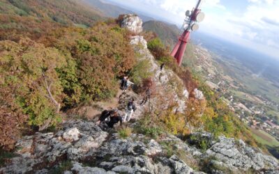 TERENSKA NASTAVA NA KALNIKU