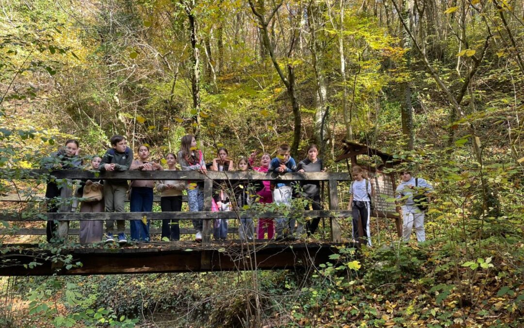 TERENSKA NASTAVA – SLAP ŠOKOT